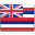 State Flag